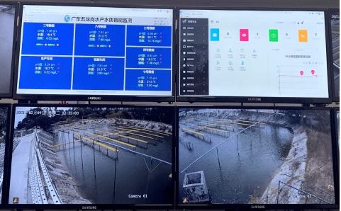 科技兴渔 人工智能与芯片鱼如何驱动水产养殖变革